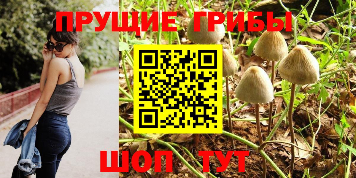 Сызрань  Галлюциногенные грибы Magic Shrooms  Вход с VPN 